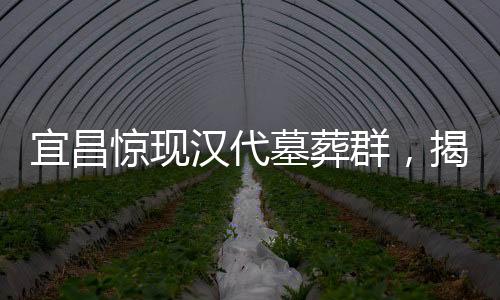 宜昌驚現(xiàn)漢代墓葬群，揭示千年文明的瑰寶