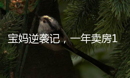 寶媽逆襲記，一年賣房158套，榮耀年薪百萬之路