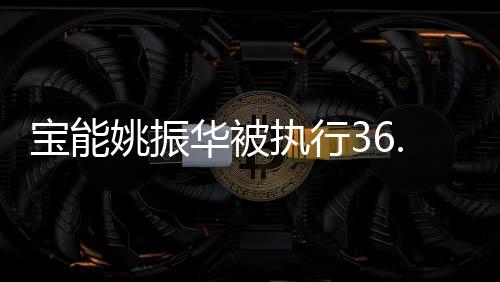 寶能姚振華被執(zhí)行36.6億，揭秘背后的故事與影響