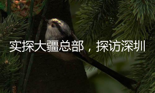 實(shí)探大疆總部，探訪深圳科技創(chuàng)新的心臟地帶——夜幕下的忙碌場(chǎng)景令人驚嘆