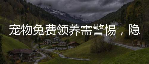 寵物免費領(lǐng)養(yǎng)需警惕，隱藏的陷阱與風(fēng)險揭示