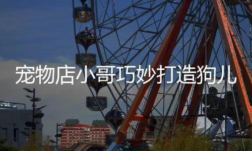 寵物店小哥巧妙打造狗兒時(shí)尚新形象，瞬間變身圣誕老人
