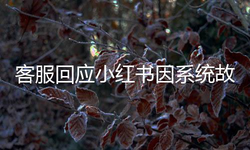 客服回應(yīng)小紅書(shū)因系統(tǒng)故障短暫崩潰，一二三認(rèn)清情況，四五六解析原因，七八九展望未來(lái)，十提醒用戶