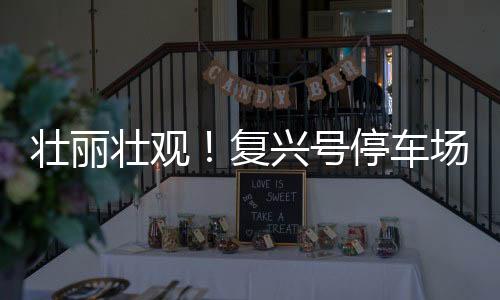 壯麗壯觀！復(fù)興號(hào)停車場(chǎng)全景展示