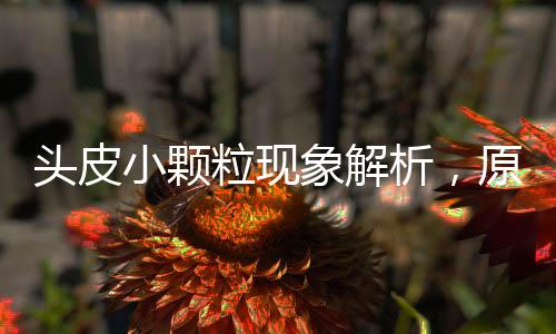 頭皮小顆?，F(xiàn)象解析，原因、影響與應(yīng)對(duì)之道