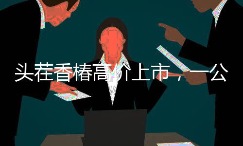 頭茬香椿高價(jià)上市，一公斤240元搶鮮嘗鮮