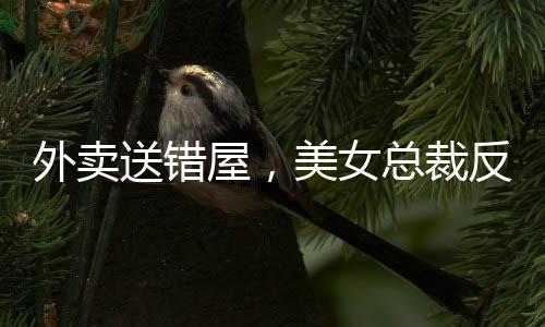 外賣送錯(cuò)屋，美女總裁反鎖房門