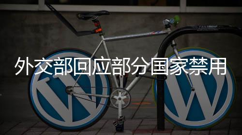 外交部回應(yīng)部分國(guó)家禁用DeepSeek，技術(shù)中立與全球合作的重要性