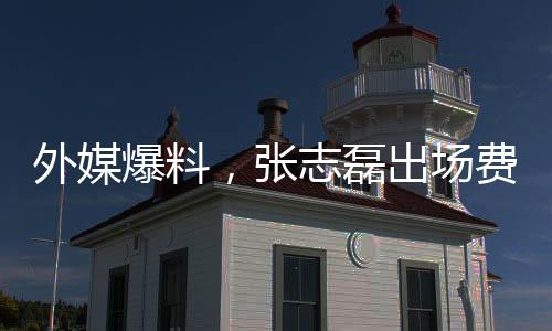外媒爆料，張志磊出場費揭秘