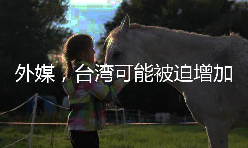 外媒，臺(tái)灣可能被迫增加采購(gòu)美國(guó)武器
