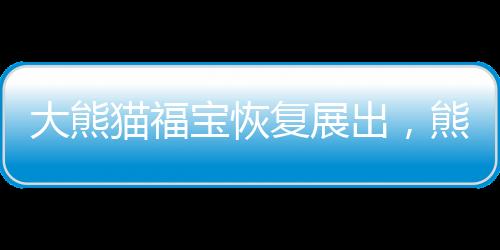 大熊貓福寶恢復(fù)展出，熊貓迷們的盛大節(jié)日