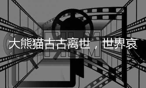 大熊貓古古離世，世界哀悼一顆璀璨星辰的隕落