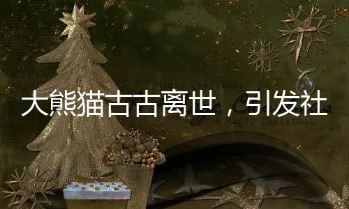 大熊貓古古離世，引發(fā)社會(huì)廣泛哀悼與緬懷