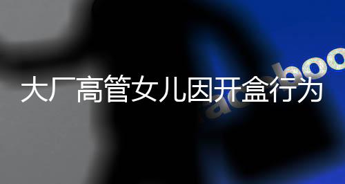 大廠高管女兒因開(kāi)盒行為引發(fā)關(guān)注事件新聞分析文章標(biāo)題