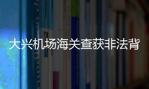 大興機(jī)場海關(guān)查獲非法背運(yùn)卷煙案，涉案卷煙達(dá)26600支