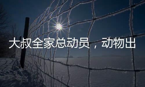大叔全家總動員，動物出擊，共抓老鼠大作戰(zhàn)