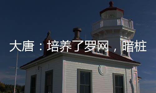 大唐：培養(yǎng)了羅網(wǎng)，暗樁遍布天下