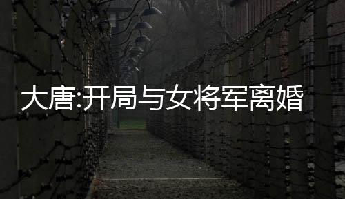 大唐:開(kāi)局與女將軍離婚
