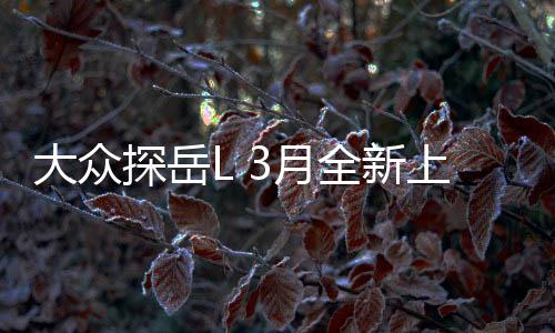 大眾探岳L 3月全新上市，一款引人注目的車型正式亮相，細(xì)節(jié)一探究竟