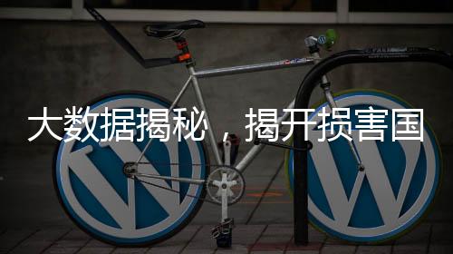 大數(shù)據(jù)揭秘，揭開損害國家稅收利益的司馬南真面目