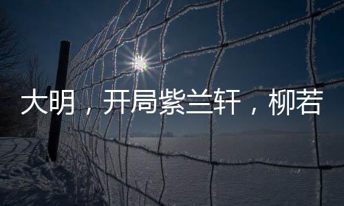 大明，開局紫蘭軒，柳若馨當(dāng)花魁