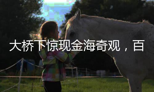 大橋下驚現(xiàn)金海奇觀，百元大鈔散落一地，警方迅速到場(chǎng)調(diào)查