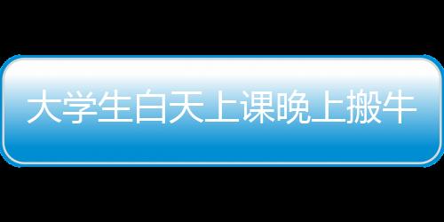 大學(xué)生白天上課晚上搬?！剿餍@內(nèi)外的雙重生活
