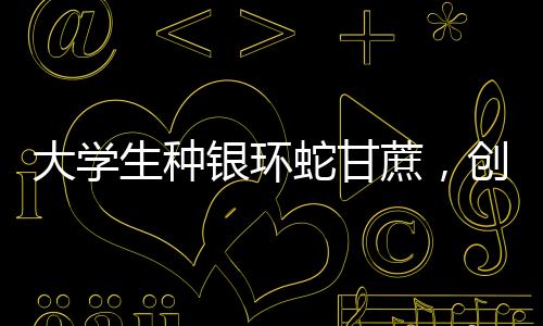 大學(xué)生種銀環(huán)蛇甘蔗，創(chuàng)新農(nóng)業(yè)與生態(tài)保護(hù)結(jié)合的新篇章