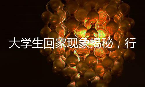 大學(xué)生回家現(xiàn)象揭秘，行李箱變衣柜，反映家庭與社會(huì)變遷的微觀故事