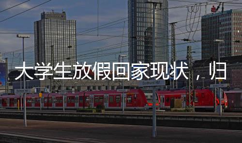 大學(xué)生放假回家現(xiàn)狀，歸途百態(tài)與社會(huì)心理的鏡像映射