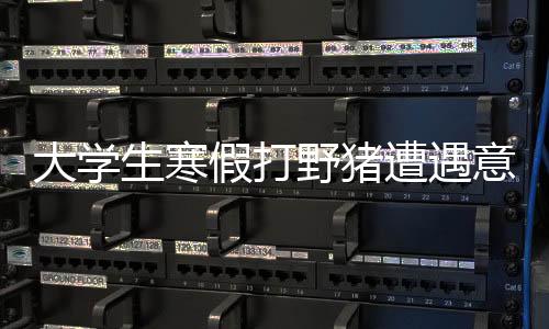 大學(xué)生寒假打野豬遭遇意外身亡，警示社會(huì)關(guān)注安全問題