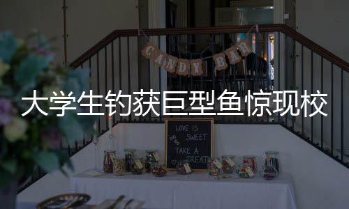 大學(xué)生釣獲巨型魚驚現(xiàn)校園，炫耀兩小時(shí)，刷新校園記錄！