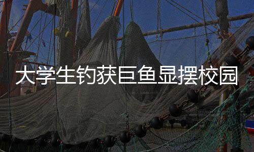 大學生釣獲巨魚顯擺校園兩小時，一次非凡的釣魚經(jīng)歷分享