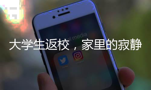 大學(xué)生返校，家里的寂靜與承重墻的寓意