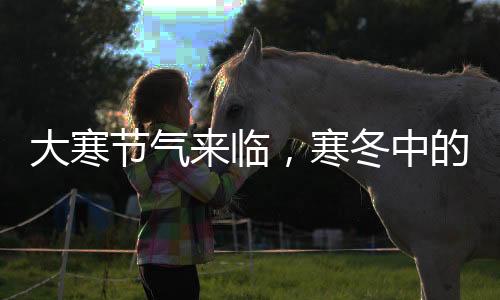 大寒節(jié)氣來臨，寒冬中的溫暖與習(xí)俗傳承