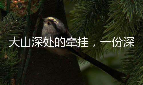 大山深處的牽掛，一份深深的眷戀與堅(jiān)守