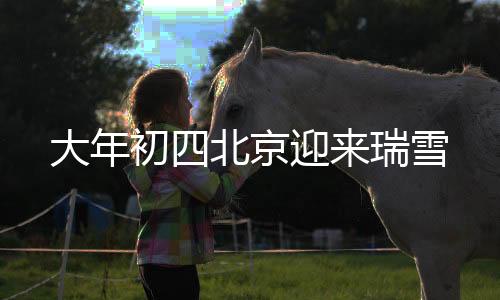 大年初四北京迎來(lái)瑞雪