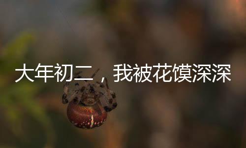 大年初二，我被花饃深深吸引
