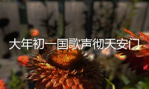 大年初一國(guó)歌聲徹天安門廣場(chǎng)，喜慶與莊嚴(yán)的交融