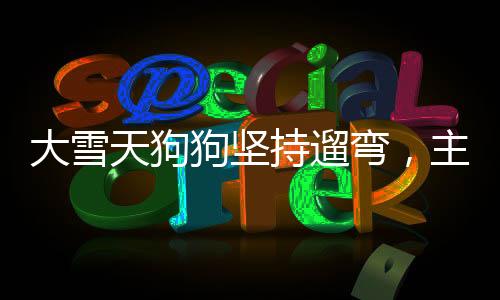 大雪天狗狗堅(jiān)持遛彎，主人無奈被拽，盡顯深厚寵緣