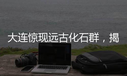 大連驚現(xiàn)遠(yuǎn)古化石群，揭秘4億年前生命印記！神奇之處吸引目光，業(yè)界掀起熱潮！