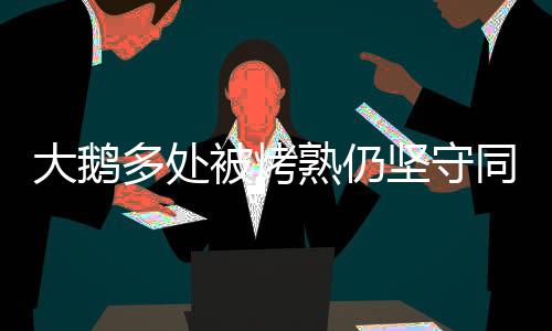 大鵝多處被烤熟仍堅守同伴，悲情場景令人動容