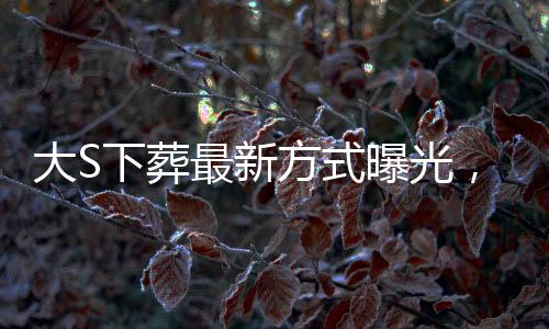 大S下葬最新方式曝光，創(chuàng)新葬禮理念與個性化服務(wù)的融合引領(lǐng)新風(fēng)尚