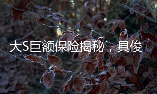 大S巨額保險揭秘，具俊曄或成受益人，遺產(chǎn)紛爭引發(fā)關(guān)注