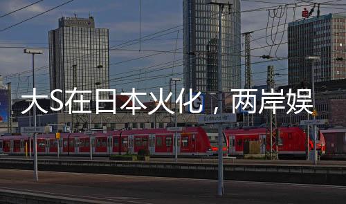 大S在日本火化，兩岸娛樂界的震動(dòng)與緬懷之情