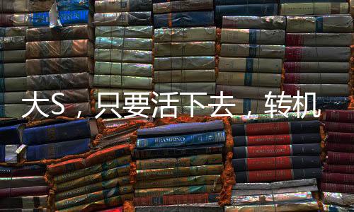 大S，只要活下去，轉(zhuǎn)機(jī)一定存在