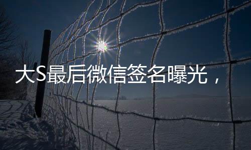 大S最后微信簽名曝光，背后隱藏的深意與故事線索揭秘
