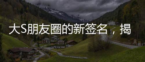 大S朋友圈的新簽名，揭秘背后的故事與情感