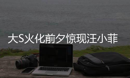 大S火化前夕驚現(xiàn)汪小菲電話風(fēng)波，憤怒咆哮背后的復(fù)雜情感糾葛