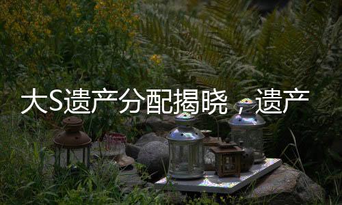 大S遺產(chǎn)分配揭曉，遺產(chǎn)將由具俊曄及兒女共同繼承